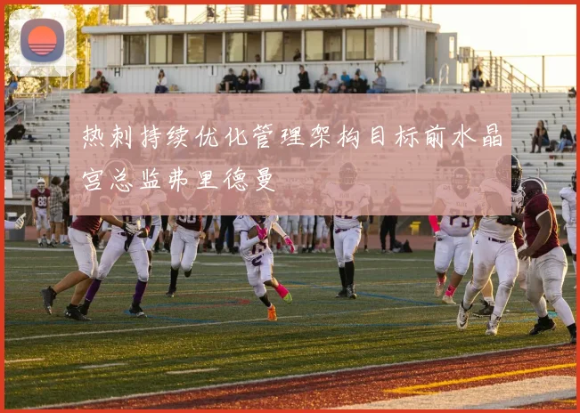 热刺持续优化管理架构目标前水晶宫总监弗里德曼