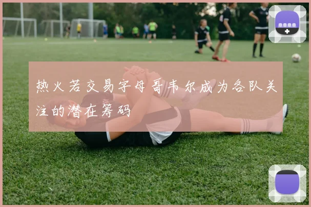 热火若交易字母哥韦尔成为各队关注的潜在筹码
