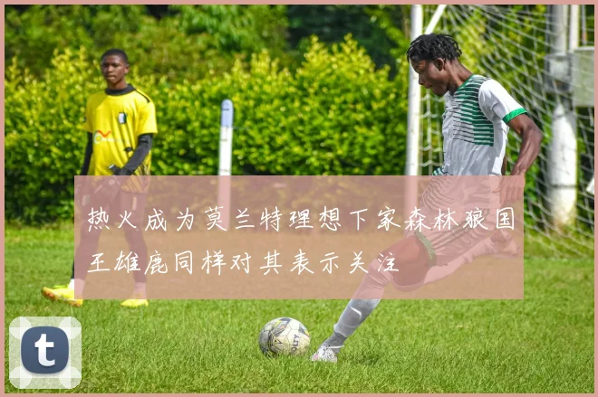 热火成为莫兰特理想下家森林狼国王雄鹿同样对其表示关注